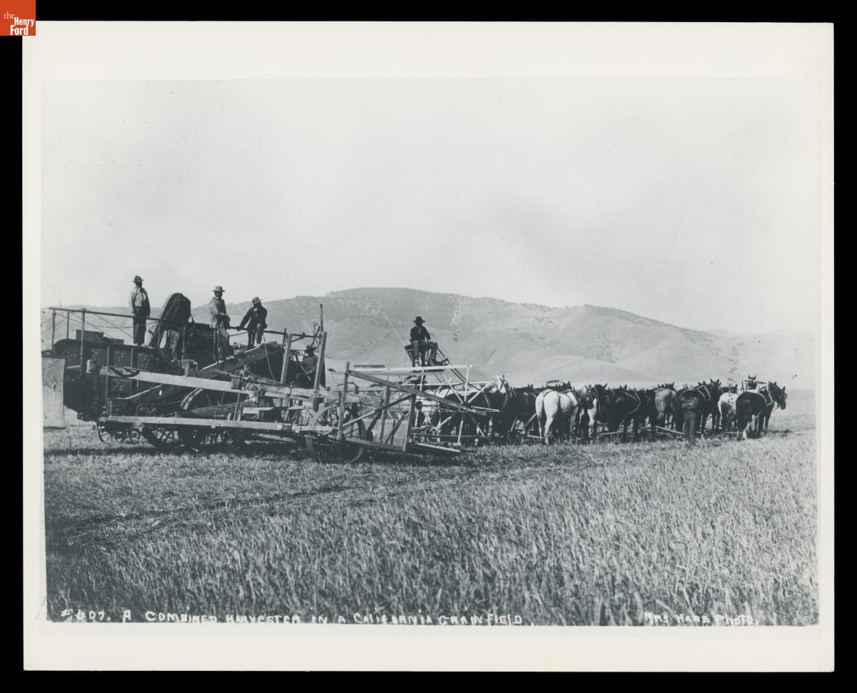A Combined Harvester in a California Grain Field